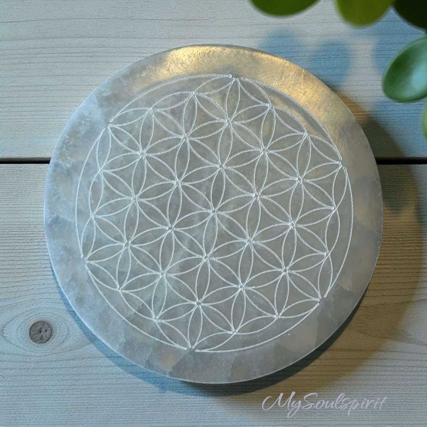 SELENIT Ladeplatte & Untersetzer 8 cm Motiv "Blume des Lebens"