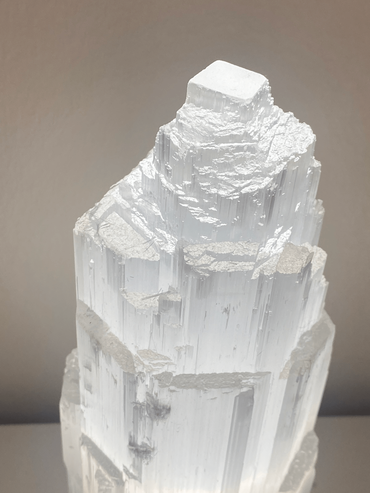 SELENIT Lampe - Lampe