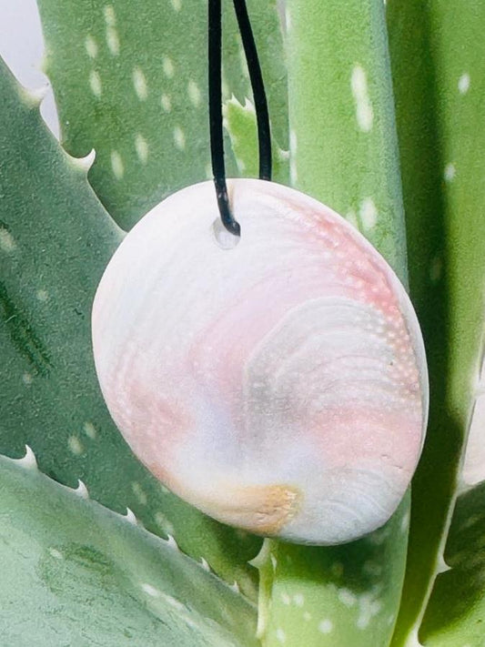 Shivas Eye Anhänger - Operculum - Kettenanhänger gebohrt