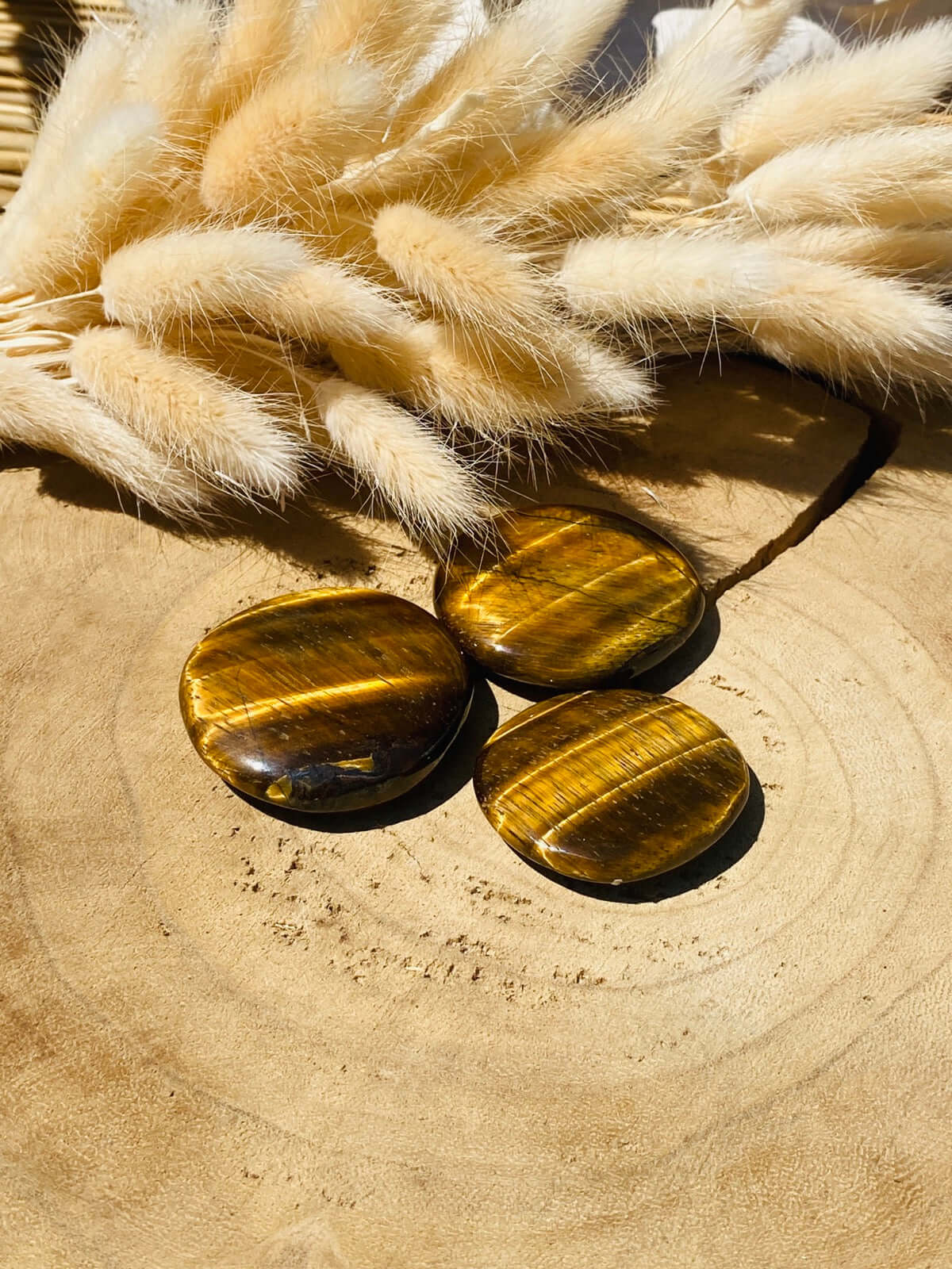 Pierres de disque TIGER EYE 100+ grammes