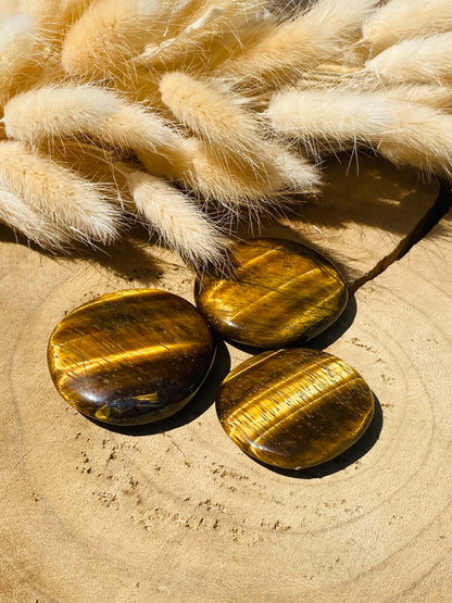 Pierres de disque TIGER EYE 100+ grammes